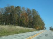 BSU33_fallfoliage