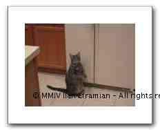 IMG_1654.THM
