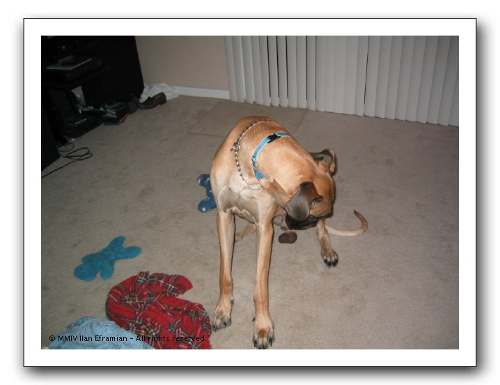 IMG_1655.JPG
