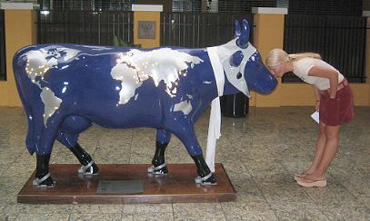 GA03_Tiff_Blue_cow_small