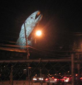 GA09_Big_Fish_small