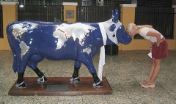 GA03_Tiff_Blue_cow_small