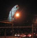 GA09_Big_Fish_small