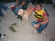 IUPU26_drunkbee