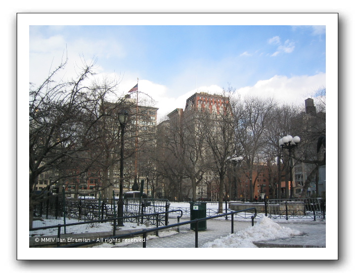 NYC6_17_wherearethey.JPG