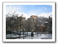 NYC6_17_wherearethey.JPG