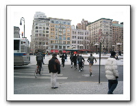 NYC6_20_theycamefromBrooklyn.JPG