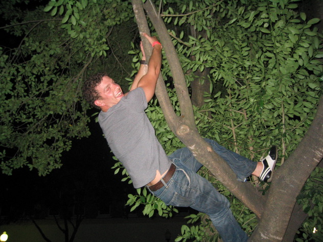 UF28_Rickardsinatree