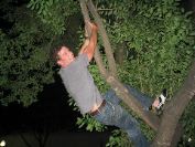 UF28_Rickardsinatree