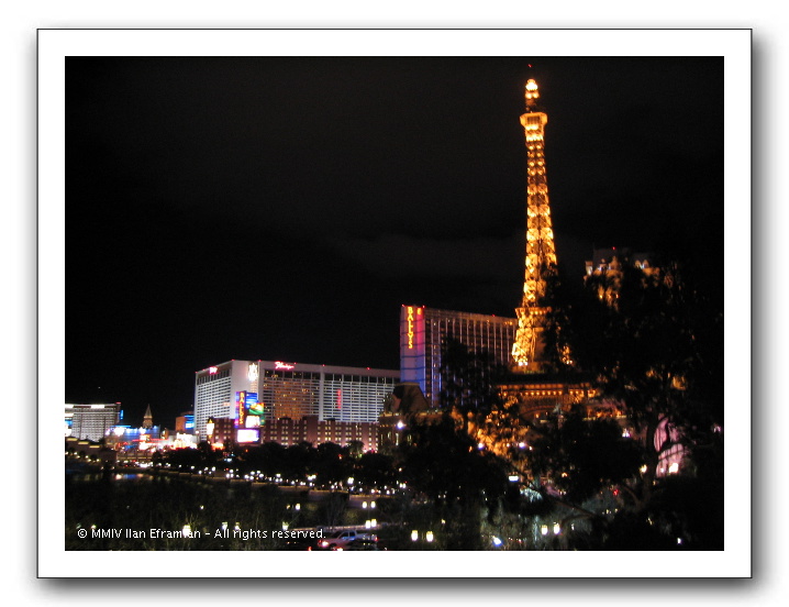LV39_Parisatnight.JPG