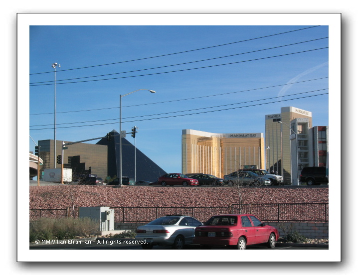 LV65_ummm-moreCasinos.JPG